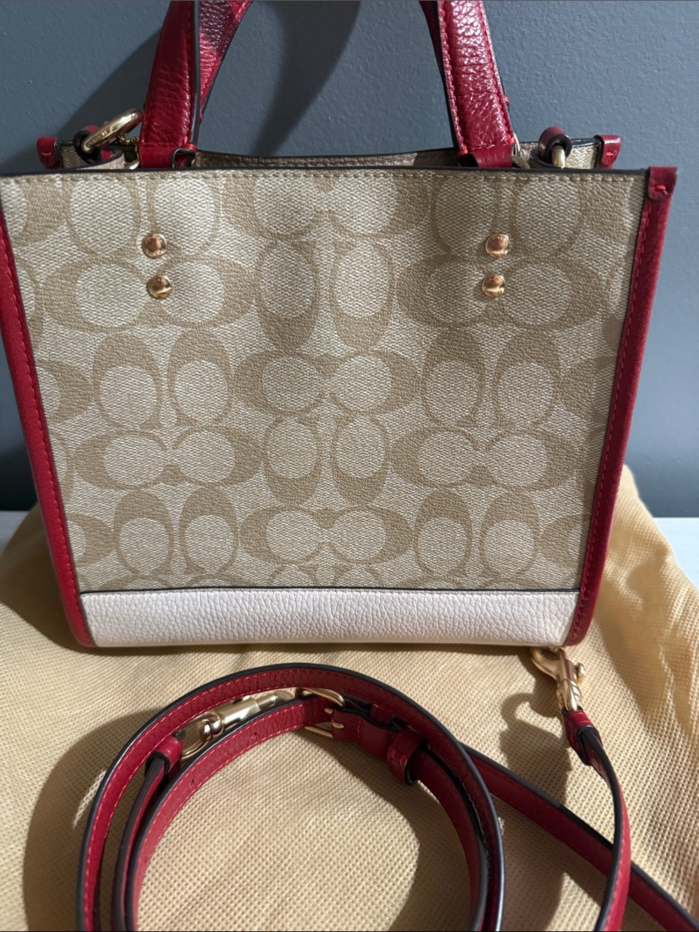 Coach Lunar New Year Dempsey signature canvas with a rabbit and carriage motif - Picture 8 of 15